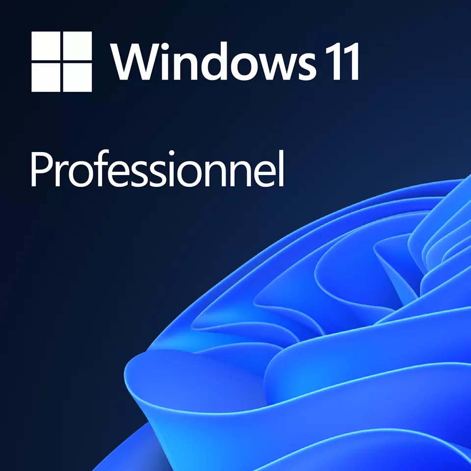 Windows 11 Pro Retail License 32/64-Bit Key